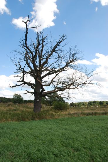 Bild vergrößern: Foto: IHU Stendal