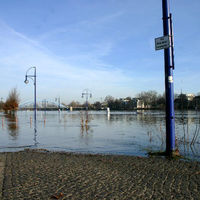 Hochwasser Elbe