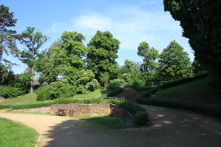 11 Mal Frühling Magdeburger Parks und Gärten / Landeshauptstadt