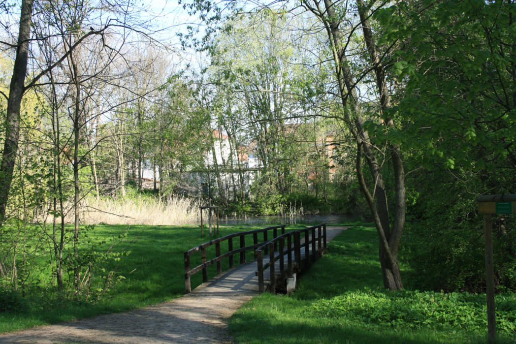 11 Mal Frühling Magdeburger Parks und Gärten