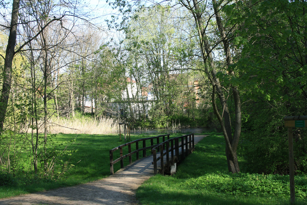 11 Mal Frühling Magdeburger Parks und Gärten
