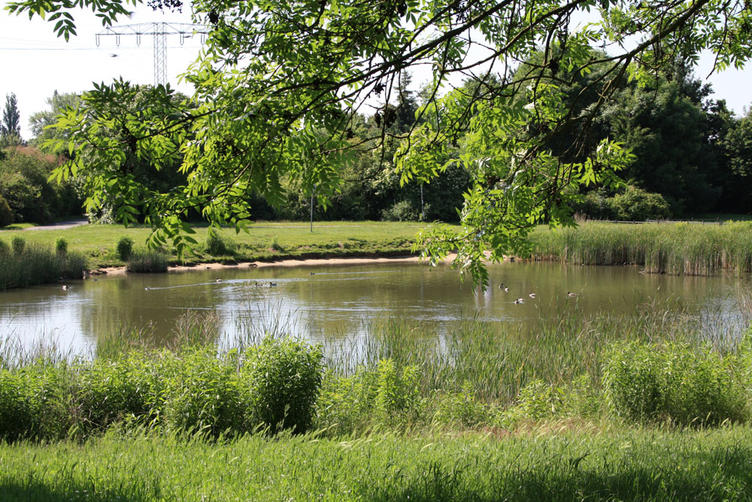 Teich im westlichen Teil des Floraparks © MMKT