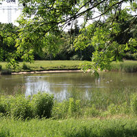 Teich im westlichen Teil des Floraparks © MMKT
