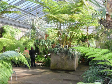 Interner Link: Public guided tour in Gruson greenhouses