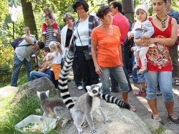 Bild vergrößern: Zoo Magdeburg tierisch nah © Zoo Magdeburg