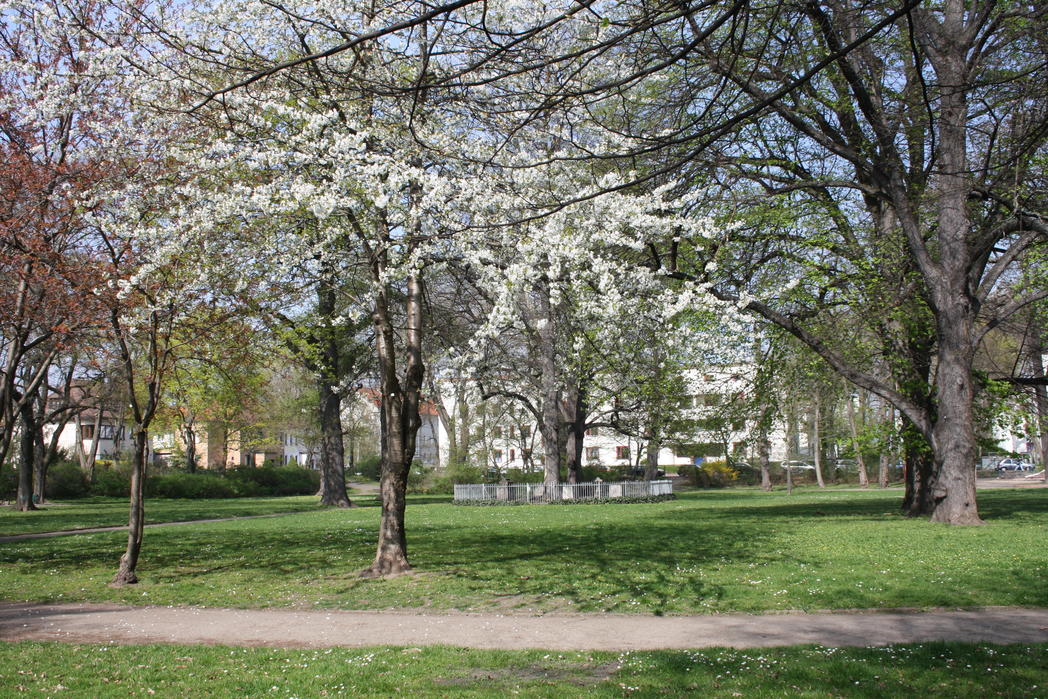 11 Mal Frühling Magdeburger Parks und Gärten