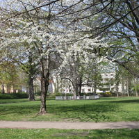 Schneidersgarten © MMKT GmbH (1)