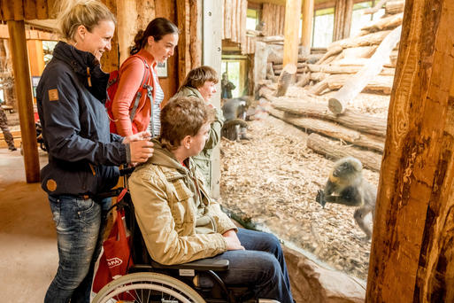 Zoologischer Garten / Landeshauptstadt Magdeburg magdeburg.de
