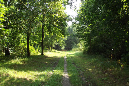 Bild vergrößern: Volkspark Westerhüsen