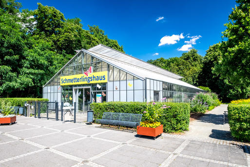 Bild vergrößern: Schmetterlingshaus Elbauenpark  www.AndreasLander.de