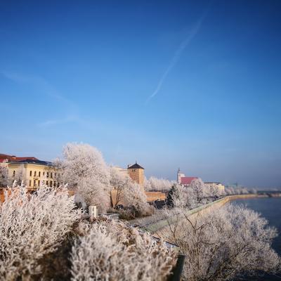 Magdeburg im Winter