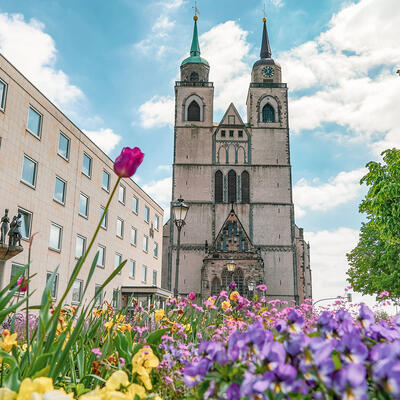Johanniskirche Frühling