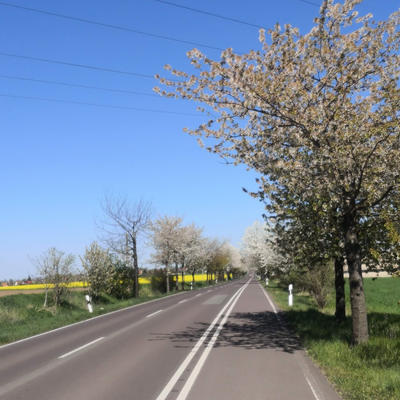 Route 12a - Radweg rund um Magdeburg