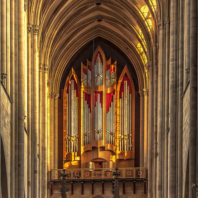 Schuke Orgel © Evangelische Domgemeinde Magdeburg