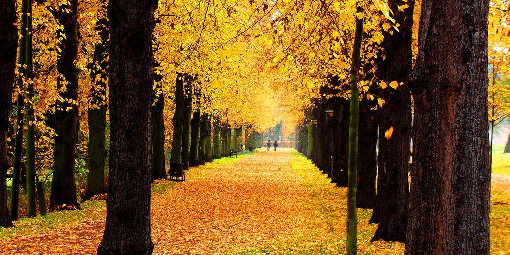 Herbststimmung im Stadtpark©LH Magdeburg (Kl. Peter Hornemann)
