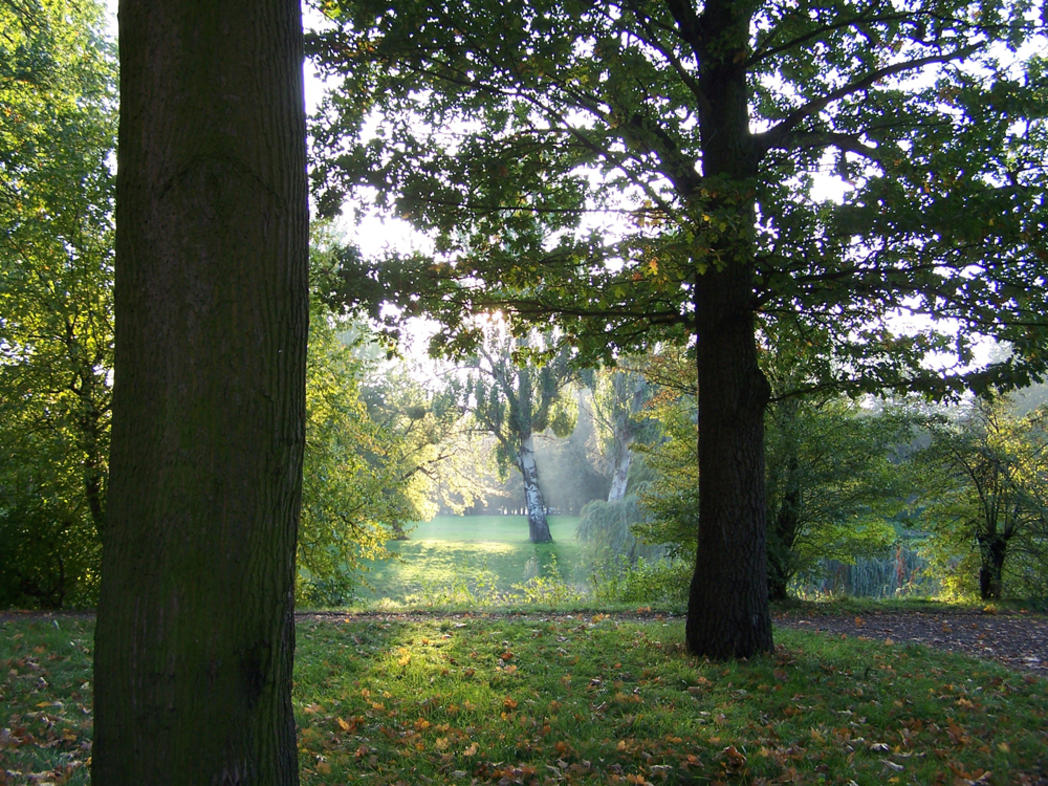11 Mal Frühling Magdeburger Parks und Gärten / Landeshauptstadt