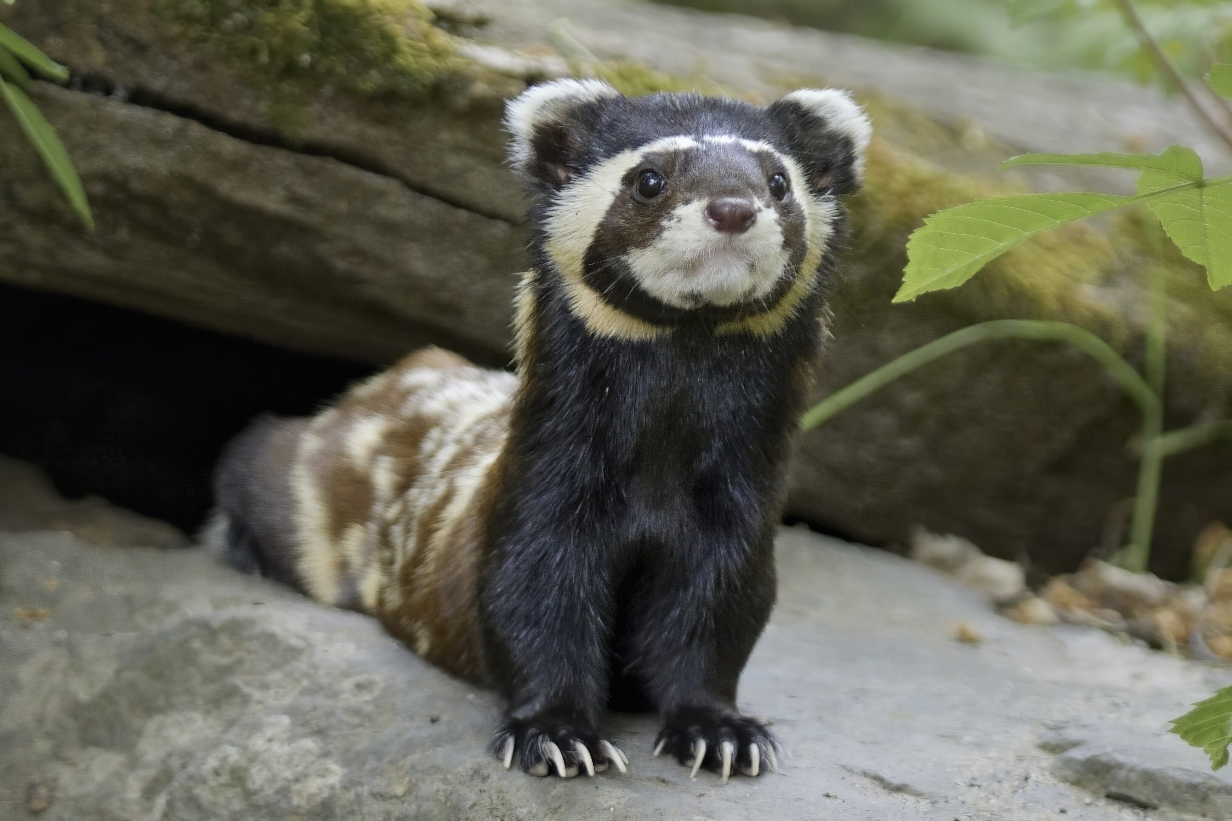 ZOO MAGDEBURG