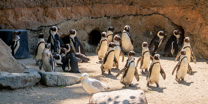 Zoo Magdeburg