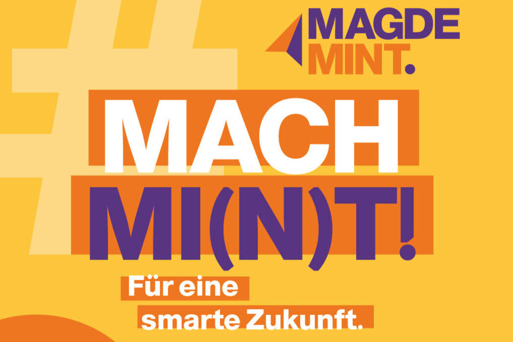 MINT-Cluster: MagdeMINT