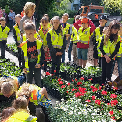 Vor der Pflanzung begutachten die Kinder der Grundschule Ottersleben die Blumen
