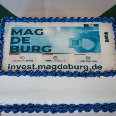 Kuchen zur feierlichen Freischaltung der neuen Seite invest.magdeburg.de