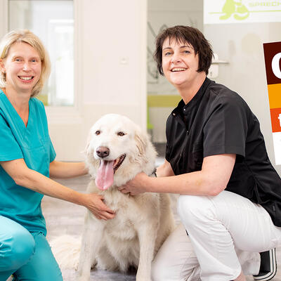 Das Tiermedizinische Versorgungszentrum ist eines der Traditionsunternehmen der neuen Kampagne 