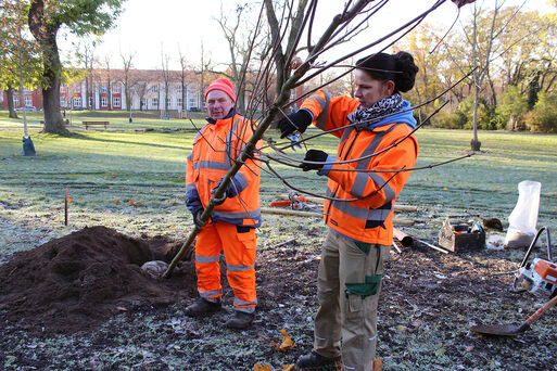 Start der Baumpflanzungen 2023 im Magdeburger Nordpark