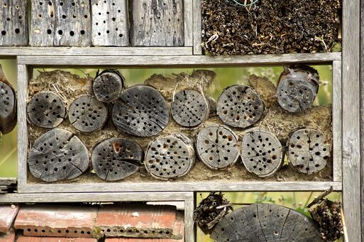 Insektenhotel 