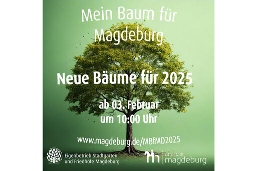 Bild vergrößern: Mein Baum für MD 2025 Ikiss_aktuell