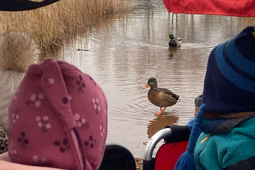 Zu Besuch bei den Wasservögeln
