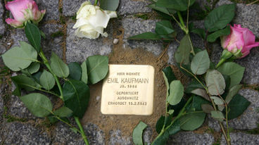 Bild vergrößern: Stolpersteine